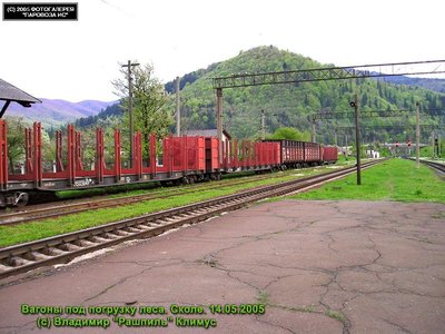 Вагоны под погрузку леса { Timber cars }, Сколе { Skole }, Украина/Львовская обл.<br /> Автор: Владимир `Рашпиль` Климус | Фото сделано 14.V.2005