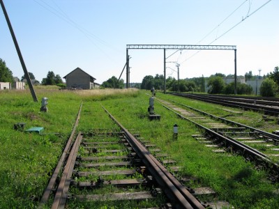 В стену из травы.