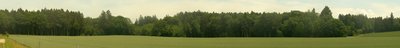 Пшеничное поле и лес. Окрестности деревни Жимель. Оригинал разрешение 13'552 х 1'620 пикс., размер файла 13,8 Мб