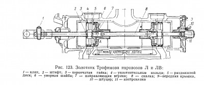 Трофимова.jpg