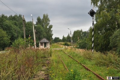 заградительные светофоры у переезда на ветке Бужаниново-Краснозаводск (МСК ж.д.)