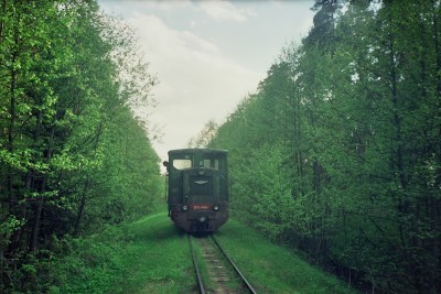 Фотостоп в лесу рядом с мостиком через ручей.