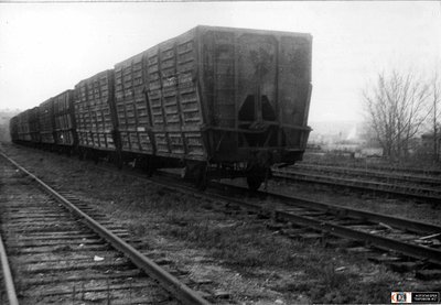 Двухосные вагоны для перевозки торфа. Вильнюс, Литва.jpg