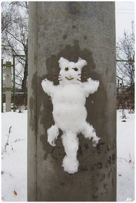 котик-снеговик 16 дек 2014.jpg