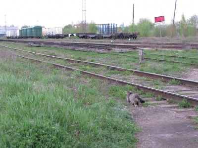 Осмотр пути.