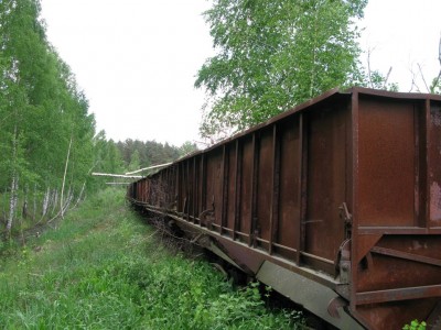 Бобровая делянка.