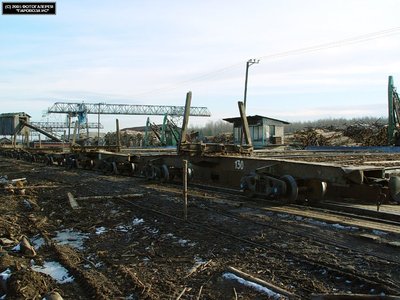 Полусцепы 43-089, Зебляковская УЖД, Костромская обл. - Баландин Д..jpg