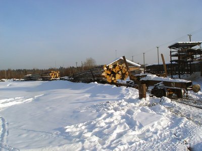 Полусцеп 43-089, Зебляковская УЖД, Костромская обл. - Баландин Д..jpg