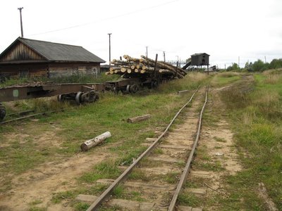 Полусцепы 43-089, Зебляковская УЖД, Костромская обл. - Павлов С. С..jpg