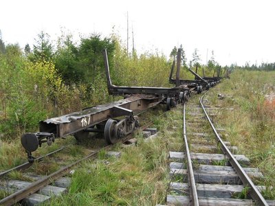 Лесовозный сцеп 43-091, Зебляковская УЖД, Костромская обл. - Павлов С. С..jpg