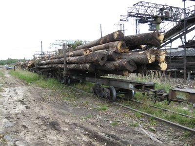 Лесовозный сцеп с хребтовой балкой 43-091, Зебляковская УЖД, Костромская обл. - Павлов С.С..jpg