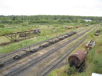 Полусцеп с хребтовой балкой 41-0016, Зебляковская УЖД, Костромская обл. - Павлов С.С..jpg