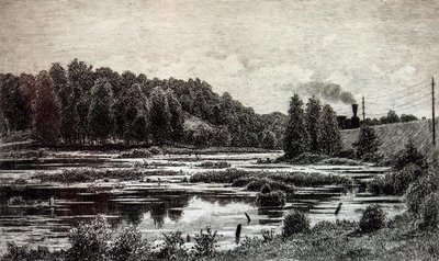Шишкин И.И. Болото по Варшавской железной дороге_ 1886.jpg