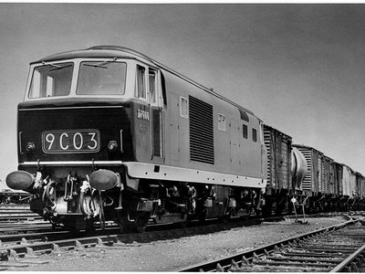 988_Hymek_800x600_2.jpg