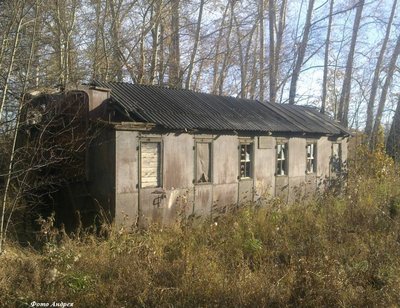 vagon1920 в деревне Козлово Коченёвского района.jpg