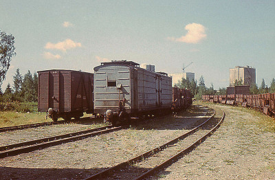 Вагон-ледник с тормозной площадкой, станция Tamsalu, 14.08.1973. Фото: Andrus Roosma