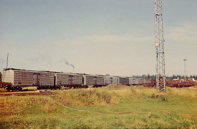 Изотермические вагоны-ледники, станция Tamsalu, 14.08.1973. Фото: Andrus Roosma