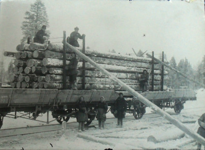 2-осн 20-т платформы Вельск Архангельск.обл. 1930-е.jpg