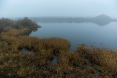 пейзаж колыбельных лет