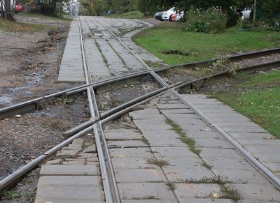 второй глухарь перед заменой